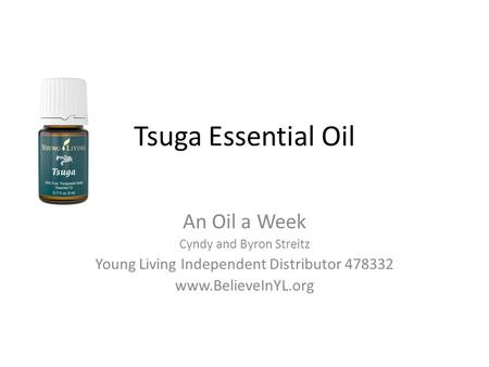 Tsuga Essential Oil An Oil a Week Cyndy and Byron Streitz Young Living Independent Distributor 478332 www.BelieveInYL.org.