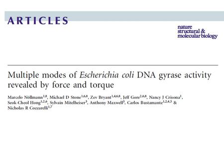 Local unwinding during replication results in overwinding or supercoiling of surrounding regions DNA topology Lk = Tw + Wr From the field of topology: