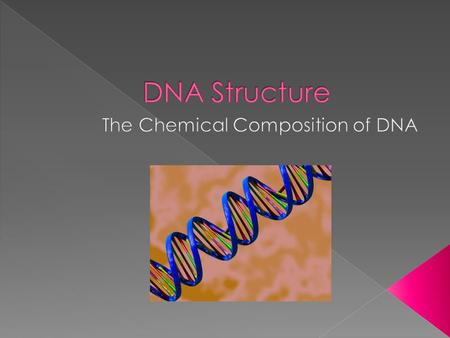  A deoxyribose sugar  A phosphate group (that is negatively charged)  A nitrogenous base.