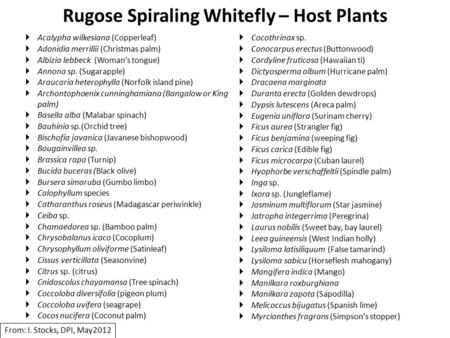 Rugose Spiraling Whitefly – Host Plants  Acalypha wilkesiana (Copperleaf)  Adonidia merrillii (Christmas palm)  Albizia lebbeck (Woman’s tongue)  Annona.