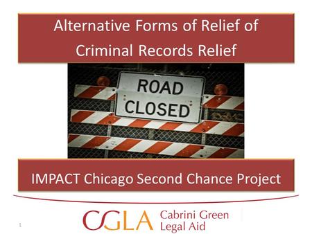 Alternative Forms of Relief of Criminal Records Relief