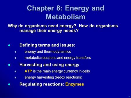 Chapter 8: Energy and Metabolism