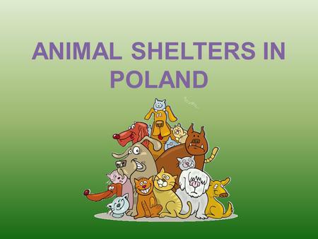 ANIMAL SHELTERS IN POLAND. Who takes care of homeless pets? Taking care of homeless pets is communes’ task. They provide accommodation for dogs in animal.