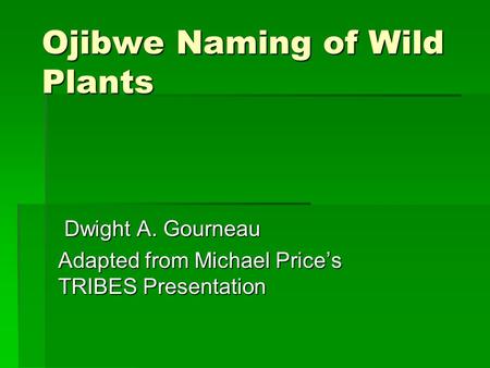 Ojibwe Naming of Wild Plants