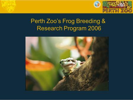 Perth Zoo’s Frog Breeding & Research Program 2006.