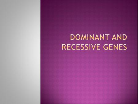  Genes  Made up of DNA  Located on the Chromosomes During Meiosis pairs of genes separate and each new cell gets one form of a gene for a specific.