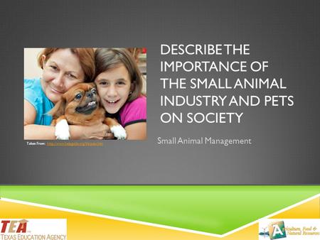 Small Animal Management