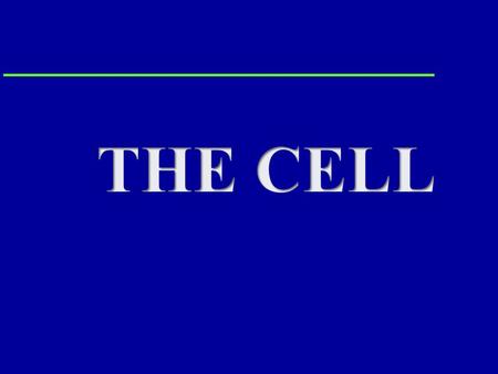 Key Points: 1. Structure (and importance) of cell membrane 2. Structure (and function) of organelles 3. Interconnections between cells to maintain structural.