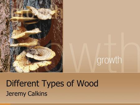 Different Types of Wood Jeremy Calkins. Introduction Welcome to Materials Processing. There are many different types of wood. We will be working with.