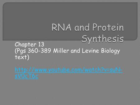 RNA and Protein Synthesis