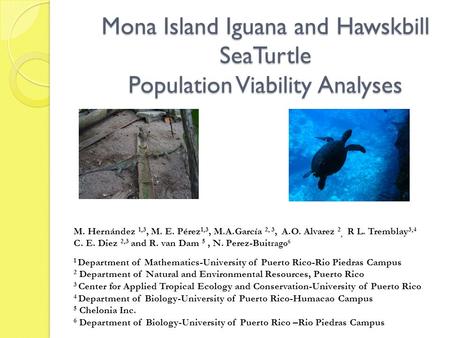 Mona Island Iguana and Hawskbill SeaTurtle Population Viability Analyses M. Hernández 1,3, M. E. Pérez 1,3, M.A.García 2, 3, A.O. Alvarez 2, R L. Tremblay.