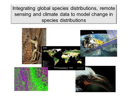 Integrating global species distributions, remote sensing and climate data to model change in species distributions.