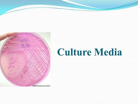 Culture Media.