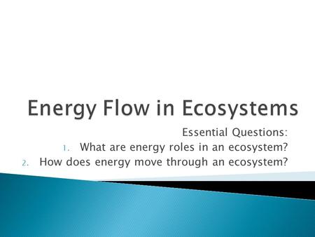 Energy Flow in Ecosystems