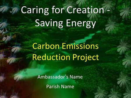 Caring for Creation - Saving Energy Carbon Emissions Reduction Caring for Creation - Saving Energy Carbon Emissions Reduction Project Ambassador ’ s Name.