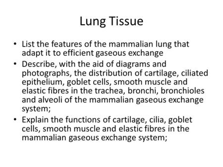 Lung Tissue List the features of the mammalian lung that adapt it to efficient gaseous exchange Describe, with the aid of diagrams and photographs, the.