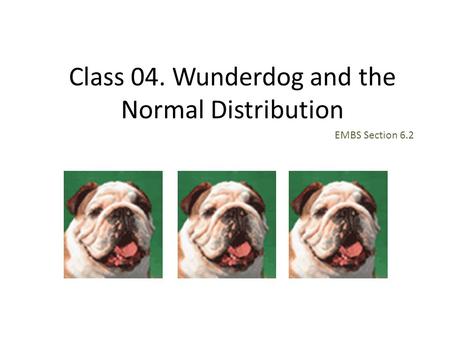 Class 04. Wunderdog and the Normal Distribution