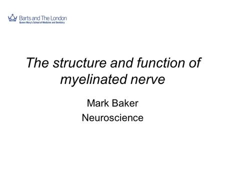 The structure and function of myelinated nerve Mark Baker Neuroscience.