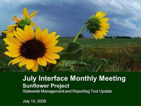 July Interface Monthly Meeting Sunflower Project Statewide Management and Reporting Tool Update July 14, 2009.