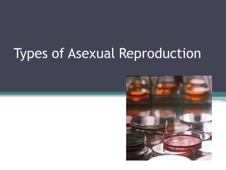 Types of Asexual Reproduction