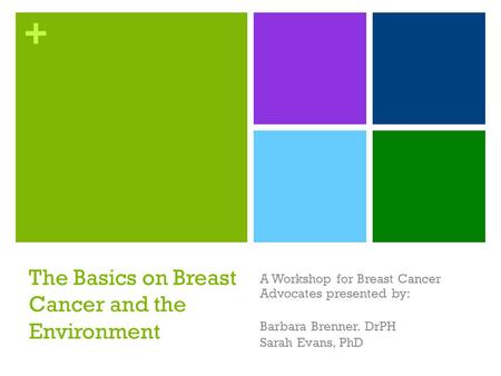 + The Basics on Breast Cancer and the Environment A Workshop for Breast Cancer Advocates presented by: Barbara Brenner. DrPH Sarah Evans, PhD.