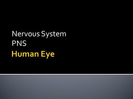 Nervous System PNS.   MpDE  MpDE.