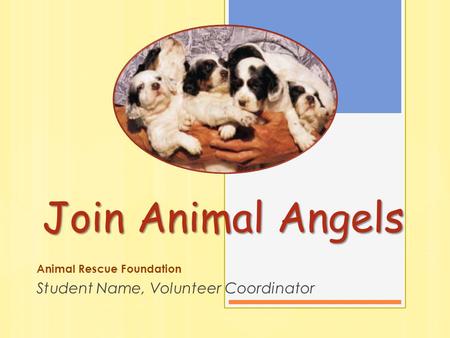 Join Animal Angels Animal Rescue Foundation Student Name, Volunteer Coordinator.