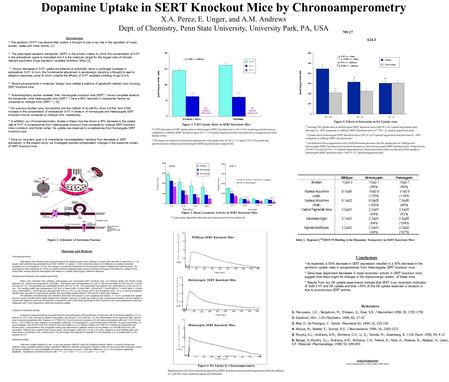 Dopamine Uptake in SERT Knockout Mice by Chronoamperometry X.A. Perez, E. Unger, and A.M. Andrews Dept. of Chemistry, Penn State University, University.