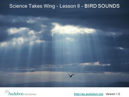 Version 1.0 Science Takes Wing - Lesson II - BIRD SOUNDS.