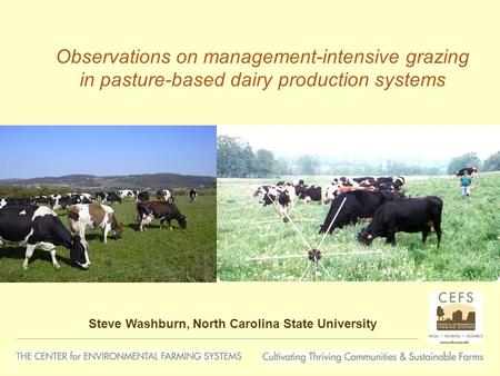 Observations on management-intensive grazing in pasture-based dairy production systems Steve Washburn, North Carolina State University.