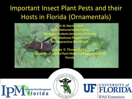 Important Insect Plant Pests and their Hosts in Florida (Ornamentals)