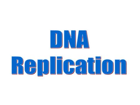 DNA Replication.