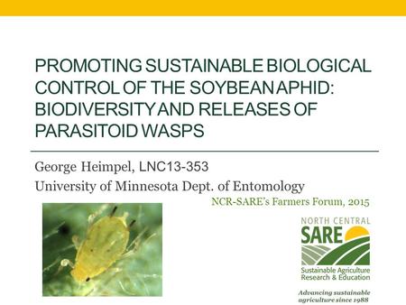 PROMOTING SUSTAINABLE BIOLOGICAL CONTROL OF THE SOYBEAN APHID: BIODIVERSITY AND RELEASES OF PARASITOID WASPS George Heimpel, LNC13-353 University of Minnesota.