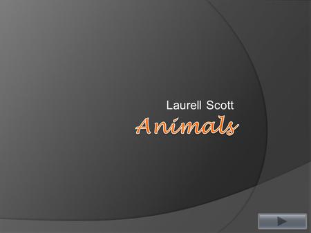 Laurell Scott. Teacher Information  Subject: Mathematics  Grade level: First  Summary: The purpose of this power point is to allow the student to practice.