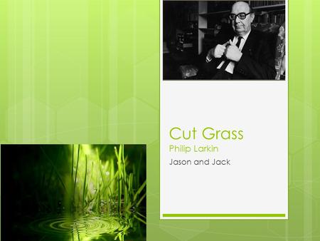 Cut Grass Philip Larkin