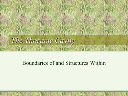 Boundaries of and Structures Within