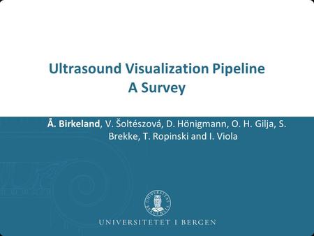 Ultrasound Visualization Pipeline A Survey