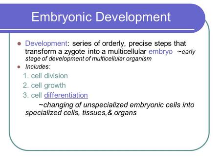 Embryonic Development