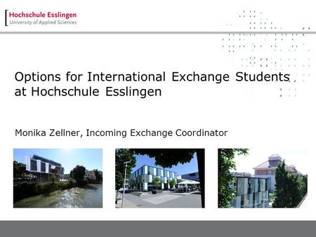 Options for International Exchange Students at Hochschule Esslingen