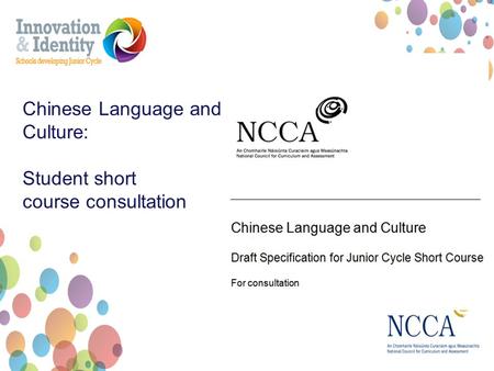 Chinese Language and Culture: Student short course consultation.