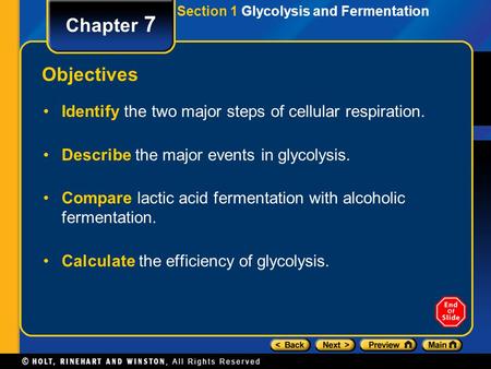 Section 1 Glycolysis and Fermentation