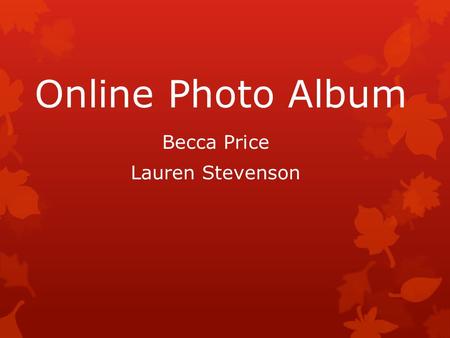 Online Photo Album Becca Price Lauren Stevenson. Appropriate Population  Ages 10+  Larger percentage of females than males  May not be as popular with.