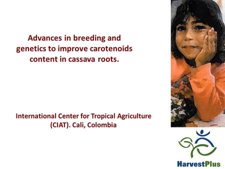 International Center for Tropical Agriculture