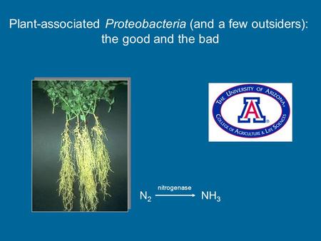 Plant-associated Proteobacteria (and a few outsiders):