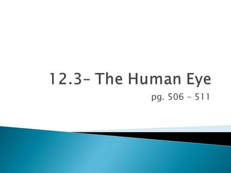 Pg. 506 - 511.  The Eyeball The Eyeball  Iris: coloured part of the eye that opens and closes to let in more or less light. In the centre you find.