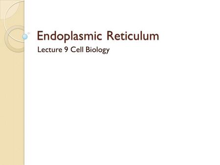 Endoplasmic Reticulum