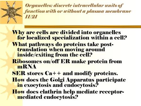 Organelles: discrete intracellular units of function with or without a plasma membrane 11/21 Why are cells are divided into organelles for localized specialization.