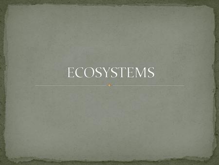 A system is a set of connected things or parts which link together to make it work. There are inputs, processes, stores and outputs.