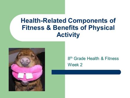 Health-Related Components of Fitness & Benefits of Physical Activity 8 th Grade Health & Fitness Week 2.