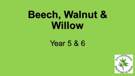 Beech, Walnut & Willow Year 5 & 6. Bombers and The Blitz Key areas of study: Who, When, Where and Why? Important People Evacuation The Home Front The.